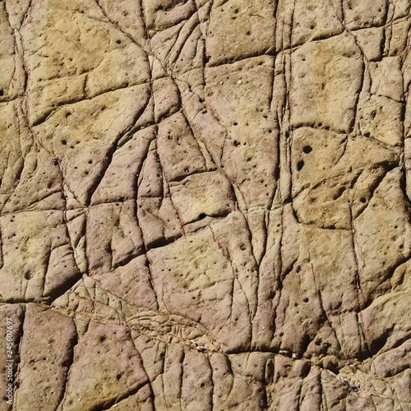 Fototapeta OLYMPUS DIGITAL CAMERA