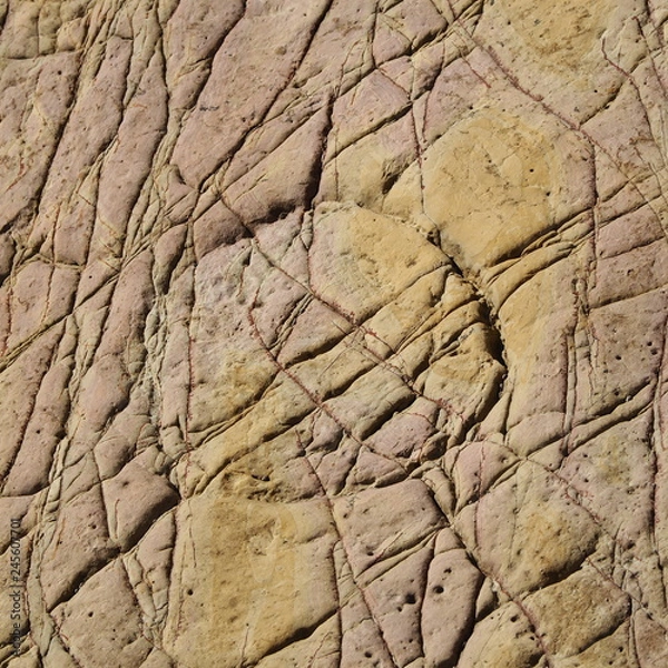 Fototapeta OLYMPUS DIGITAL CAMERA