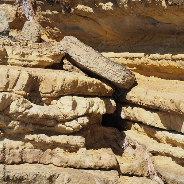 Fototapeta OLYMPUS DIGITAL CAMERA