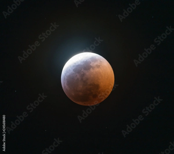 Fototapeta The Super Blood Wolf Moon Eclipse of 2019	