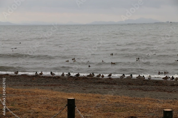 Fototapeta 琵琶湖のほとり