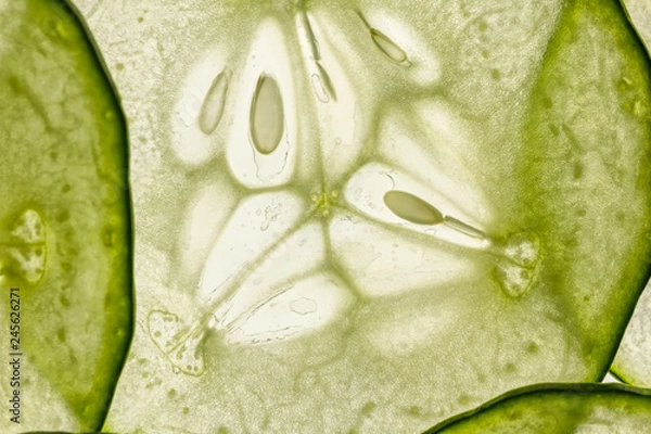 Obraz very thin slices of fresh cucumber on white background