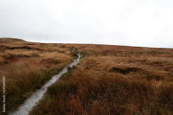 Obraz Saddleworth Moor