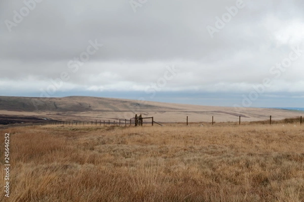 Fototapeta Saddleworth Moor