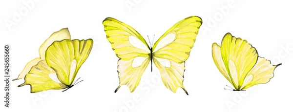 Obraz Akwarela zestaw żółty motyl na białym tle na białym tle