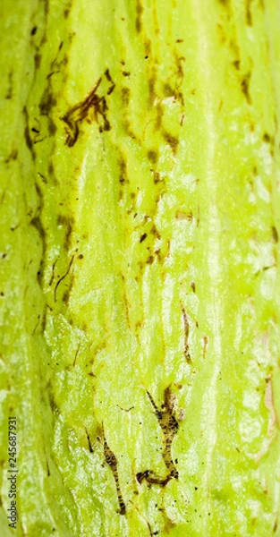 Fototapeta Cacoa Close up