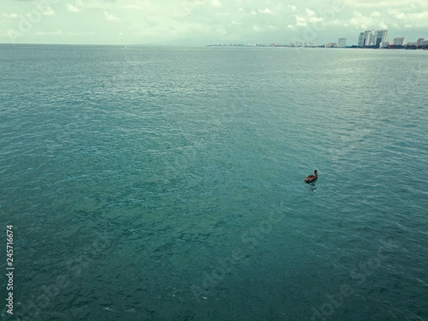 Obraz バンデラス湾の海岸の空撮