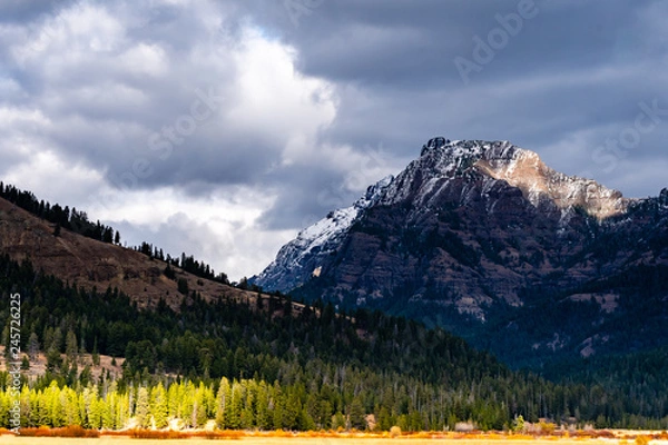 Obraz Yellowstone Landscape