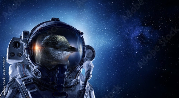 Obraz First trip to space. Mixed media