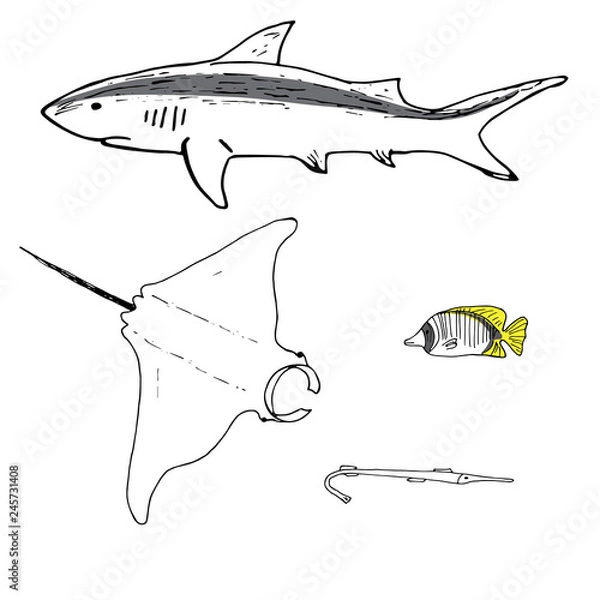 Fototapeta Grey reef shark, manta ray, threadfin butterflyfish and cornefish hand drawn