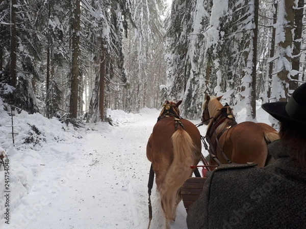 Fototapeta Ramsau 2019 3