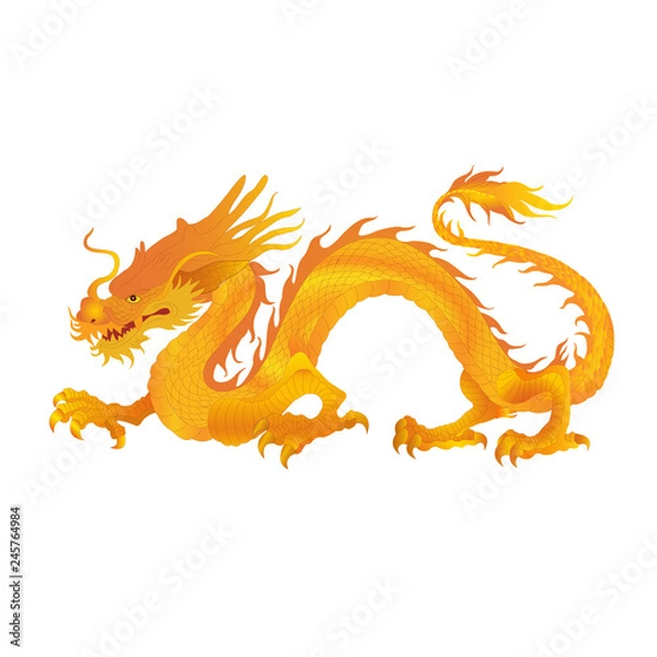 Obraz Chinese dragon vector