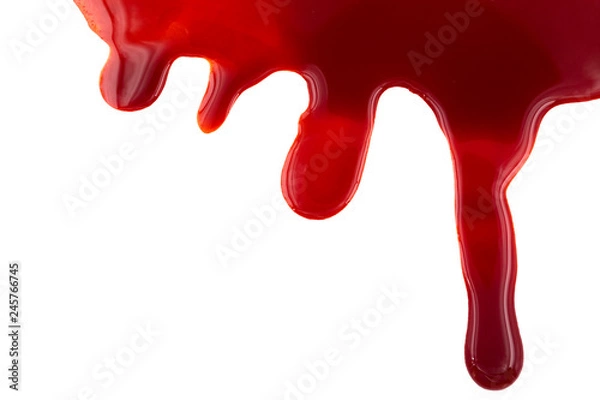 Fototapeta Dripping blood isolated on white background. Flowing red blood splashes, drops and trail.