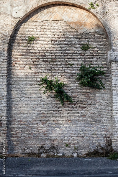 Fototapeta Steinwand