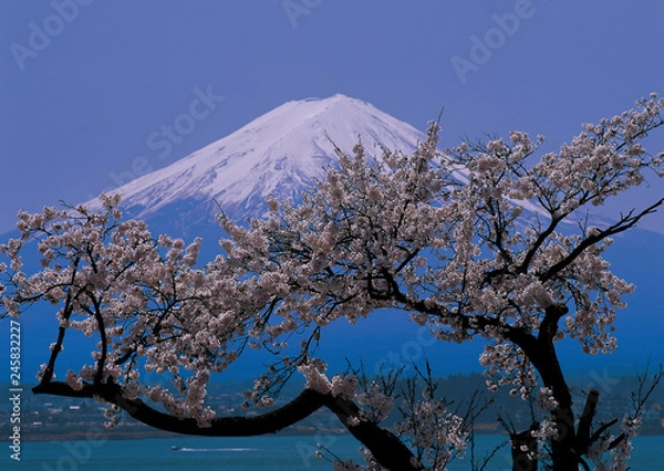 Fototapeta 富士山