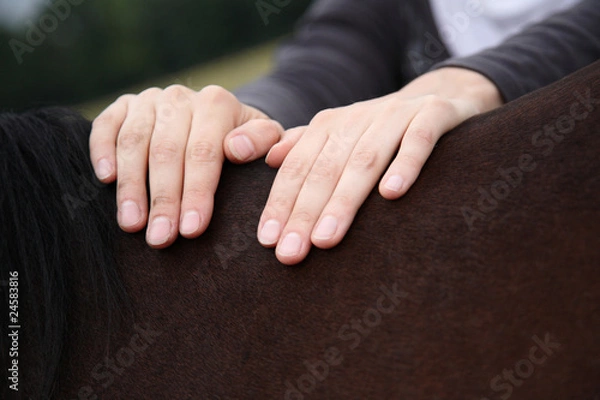 Obraz Osteopatia konia