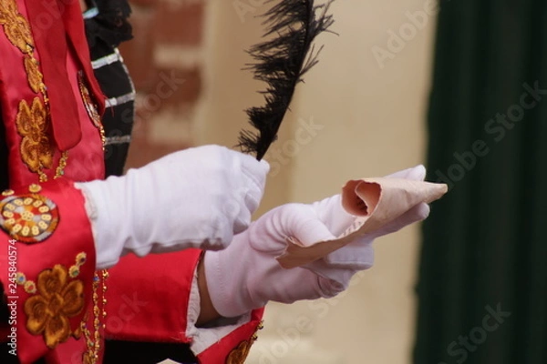 Obraz Pluma española
