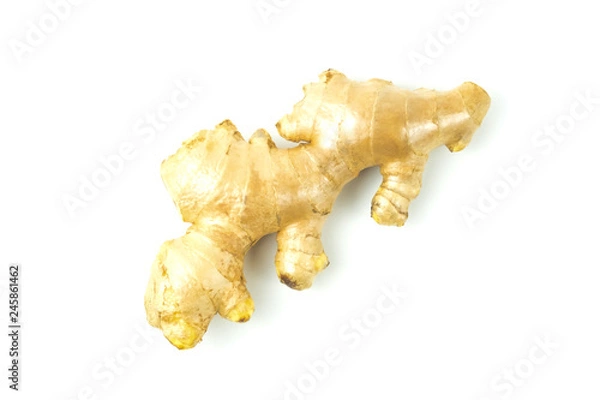 Obraz Ginger fresh isolated is a rooted plant with medicinal properties and is the elixir. with vitamins on white background and clipping path. The name of science : Zingiber officinale Roscoe