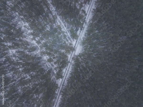 Obraz Waldweg im Winter