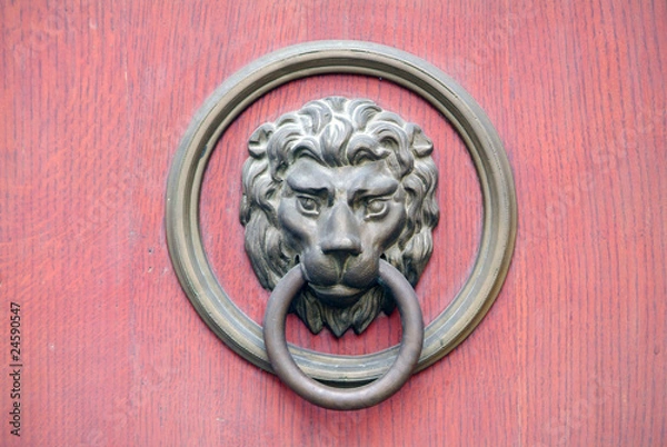 Obraz Brazen lion head door knocker