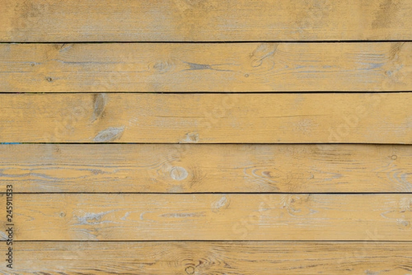 Fototapeta  Old tree background