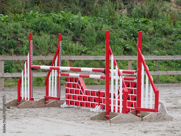 Obraz Showjump Close Up