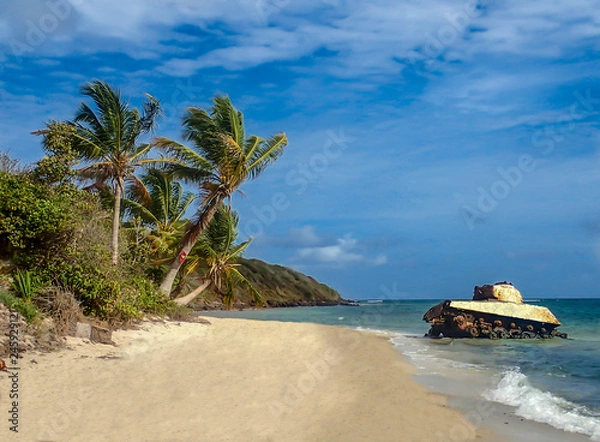 Obraz Tank on Beach