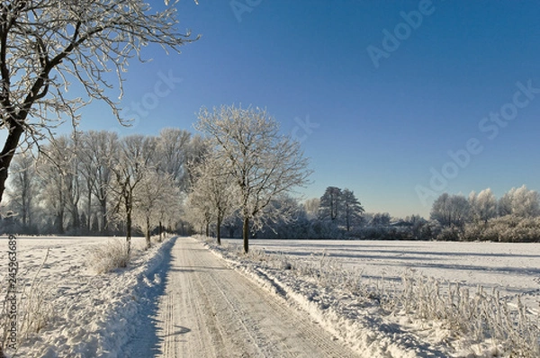 Obraz Winter am Niederrhein