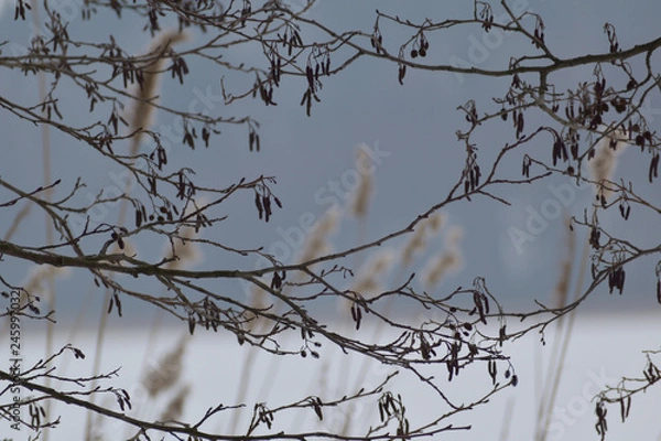 Obraz wspaniały zimowy widok