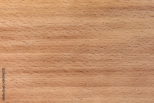 Fototapeta Light brown beech wood texture