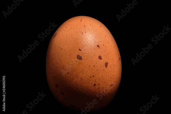 Fototapeta Egg brown with stains moles on a black background