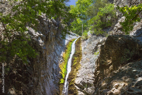 Obraz Waterfall in the forest