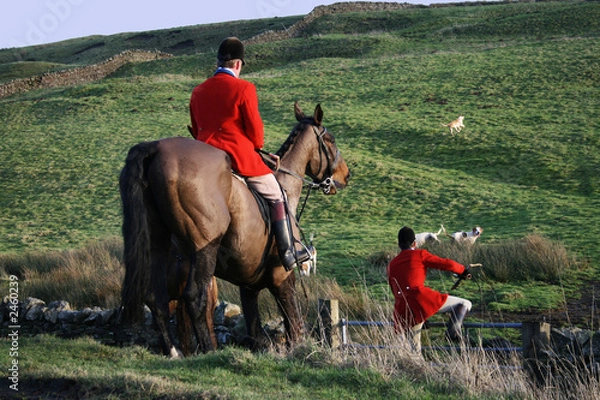 Obraz fox hunting
