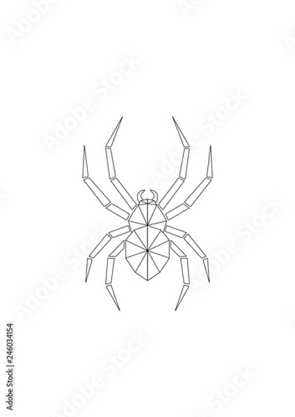 Obraz spider