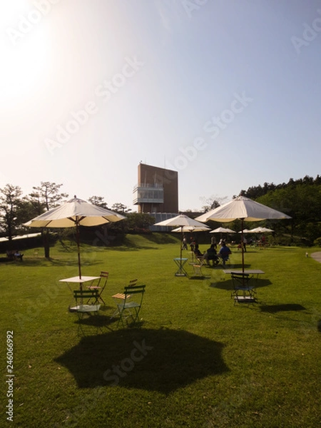 Fototapeta Shine and Shadow