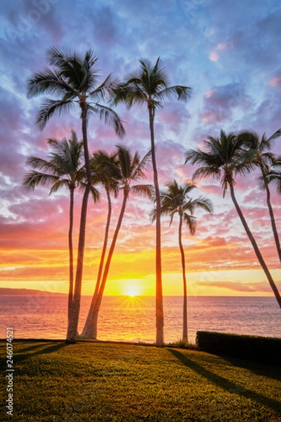 Obraz Hawaiian Sunset with palm trees on the beach