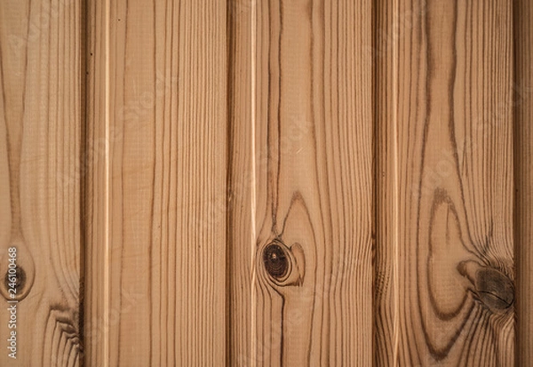 Obraz Wood texture 2