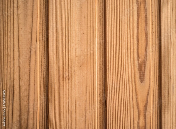 Obraz Wood texture