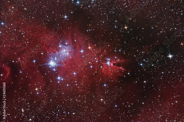 Obraz Nebular complex in Monoceros constellation.