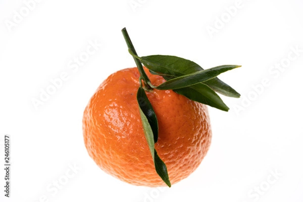 Obraz Organic Mandarine Tangerine isolated on pure white background