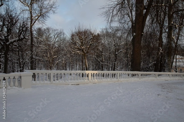 Fototapeta Peterhof, fountains and park in winter