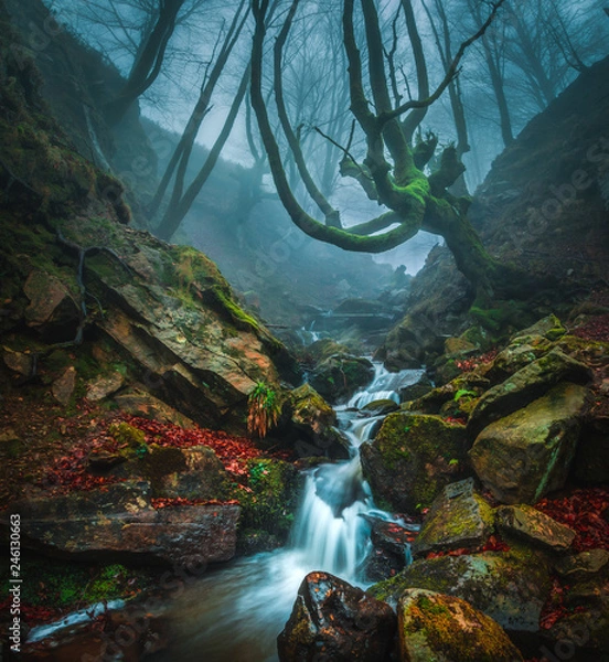 Obraz rio y cascada en el bosque belaustegui en el parque natural del monte gorbea en Euskadi
