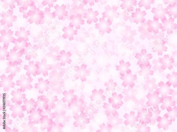 Fototapeta 桜　背景　和柄