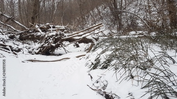 Obraz  Trickle in winter