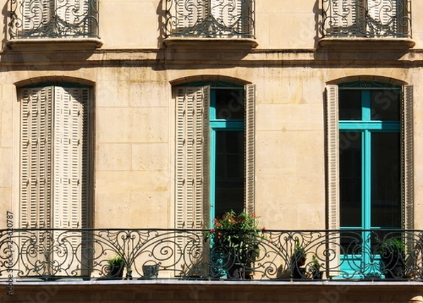Obraz French windows