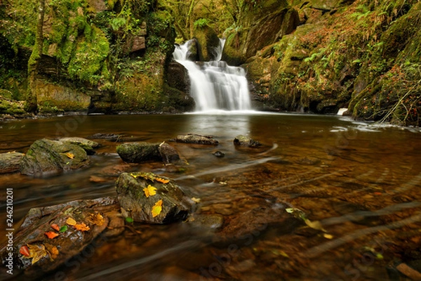 Fototapeta Mullinhassig waterfall, Mullinhassig Woods Co. Cork Ireland