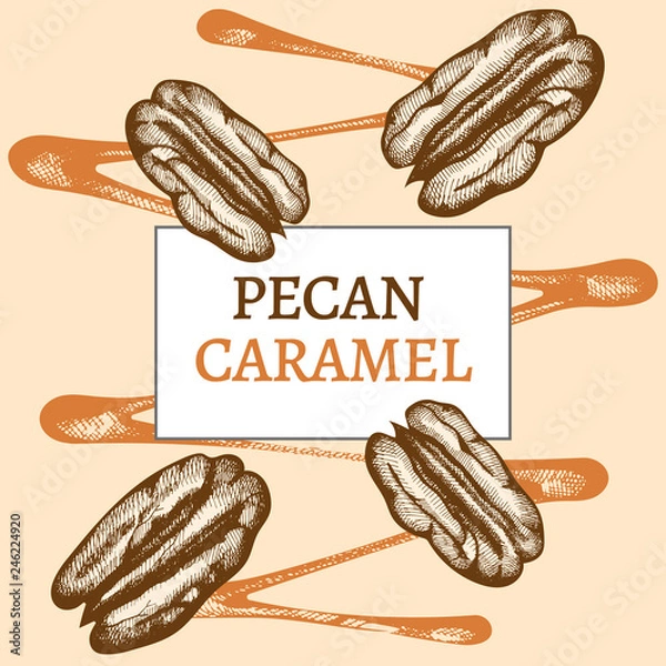 Fototapeta Pecan nuts and caramel. Hand drawn Vector illustration