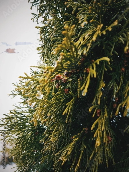 Obraz Processed with VSCO with hb2 preset