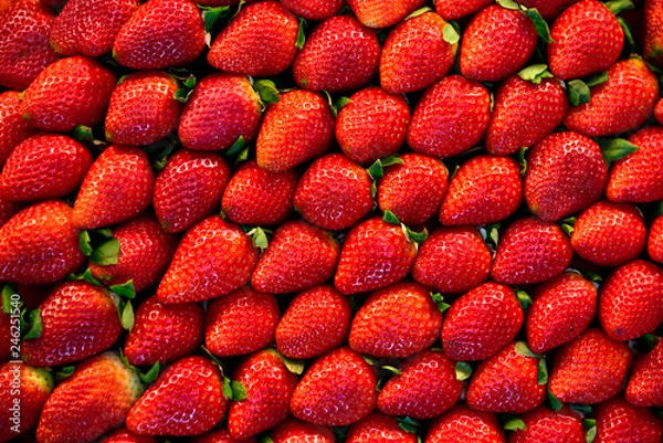 Obraz     Strawberry. Fresh organic berries macro. Fruit background 