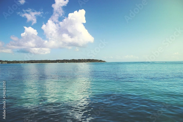 Obraz caribbean